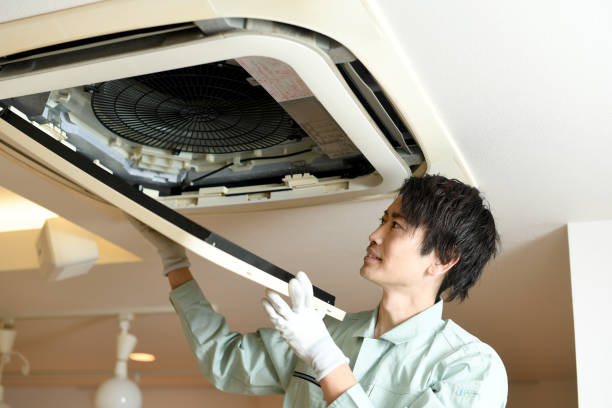Air Duct Mold Removal in Napavine, WA
